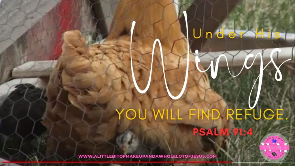 7-28-2023 Season 1 Episode 22 Under His wings you will find refuge. Psalm 91:4