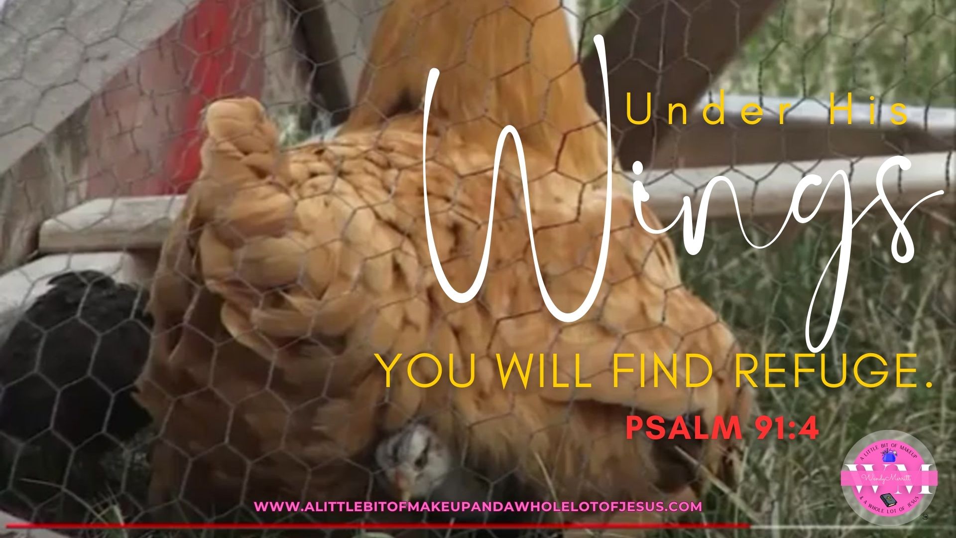 Under his wings you will find refuge